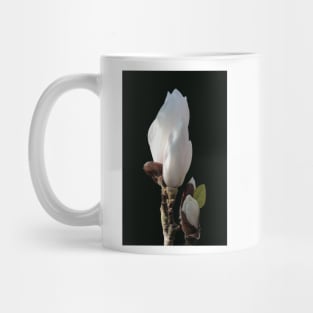 Budding magnolia Mug